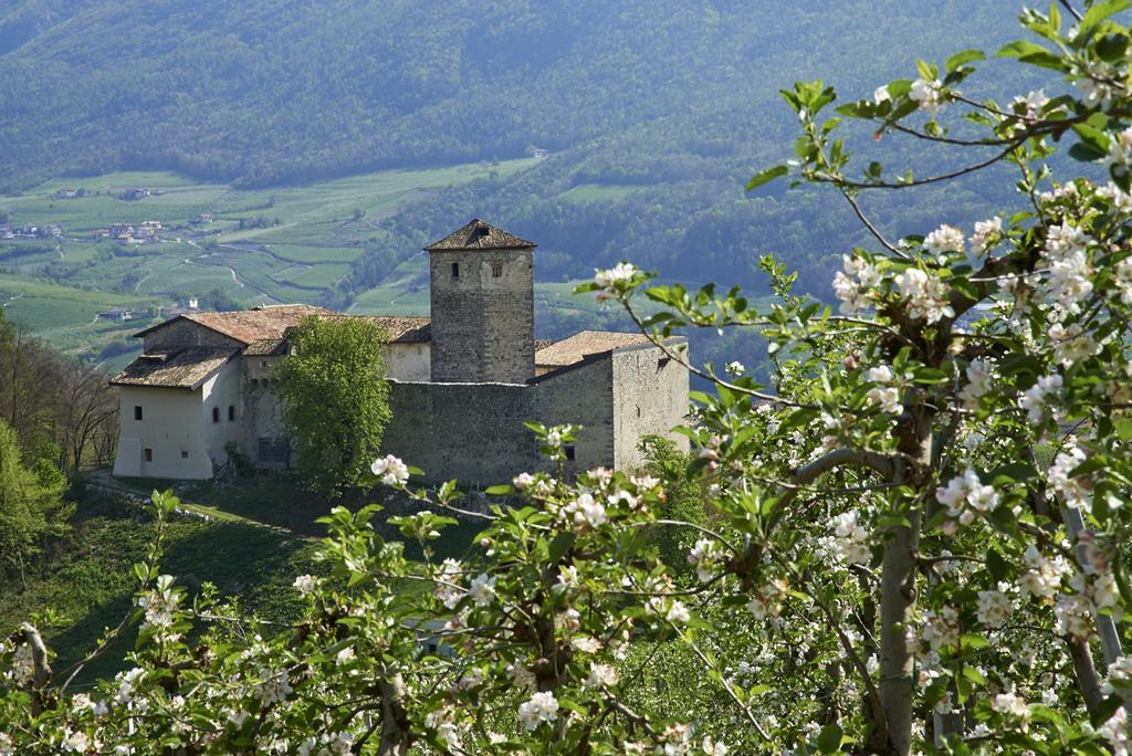 B&B La Casa Del Sole San Michele allʼAdige Exterior foto